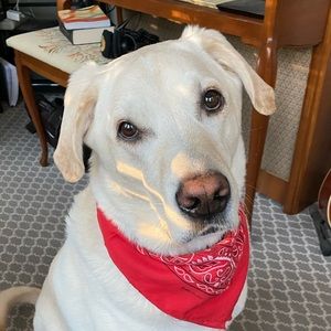 Meet your Posher, Shawna